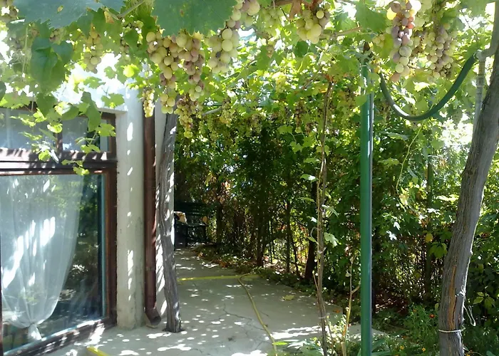 Elfi Pensionat Golden Sands