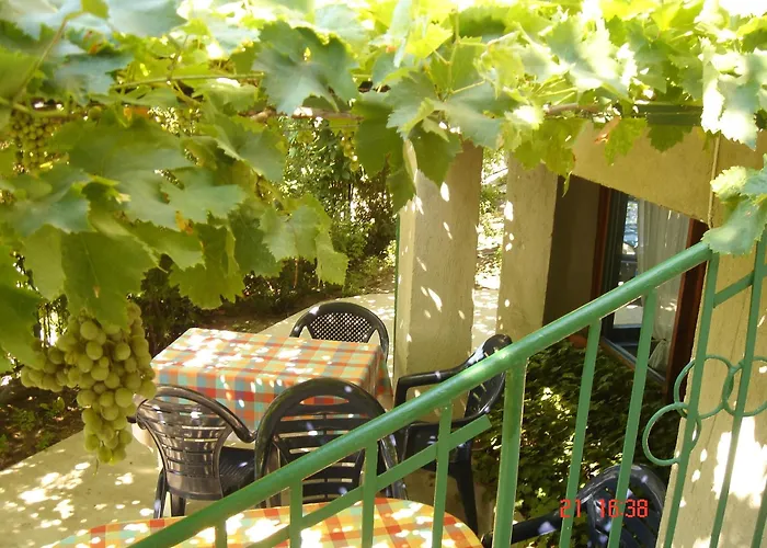 Casa de hóspedes Elfi 2*